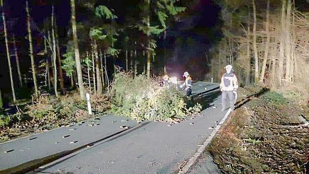 In der Fränkischen Schweiz entwurzelte Sturm Eberhard Bäume. Sogar eine Stromleitung wurde getroffen. Foto: Freiwillige Feuerwehr Kleingesee