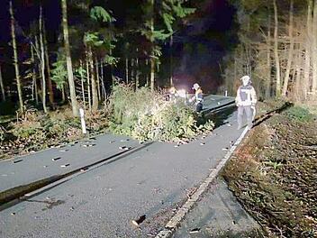 In der Fränkischen Schweiz entwurzelte Sturm Eberhard Bäume. Sogar eine Stromleitung wurde getroffen. Foto: Freiwillige Feuerwehr Kleingesee