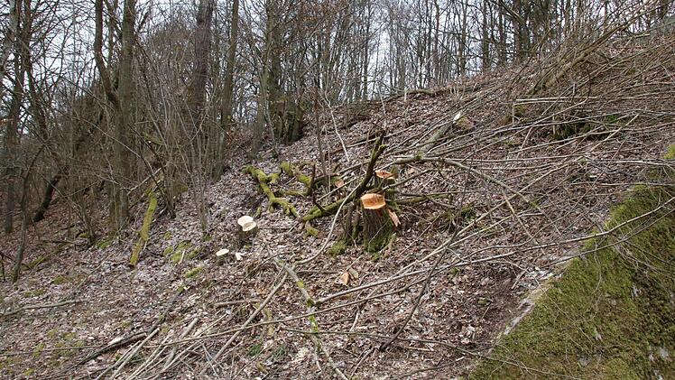 Unter anderem entlang der Strecke nach Ebenhausen wurden die Bäume und Sträucher entfernt. Foto: Ralf Ruppert