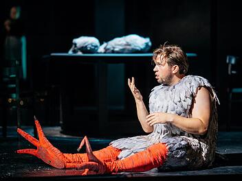 In solch ein Kostüm zu steigen, kann eine persönliche Herausforderung sein. Marvin Zobel spielte und sang den Papageno in der Coburger Inszenierung von Mozarts "Zauberflöte" trotzdem leicht und lebendig.Sebastian Buff