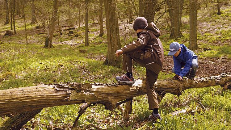 Zwei Kinder klettern im Wald über einen Baumstamm