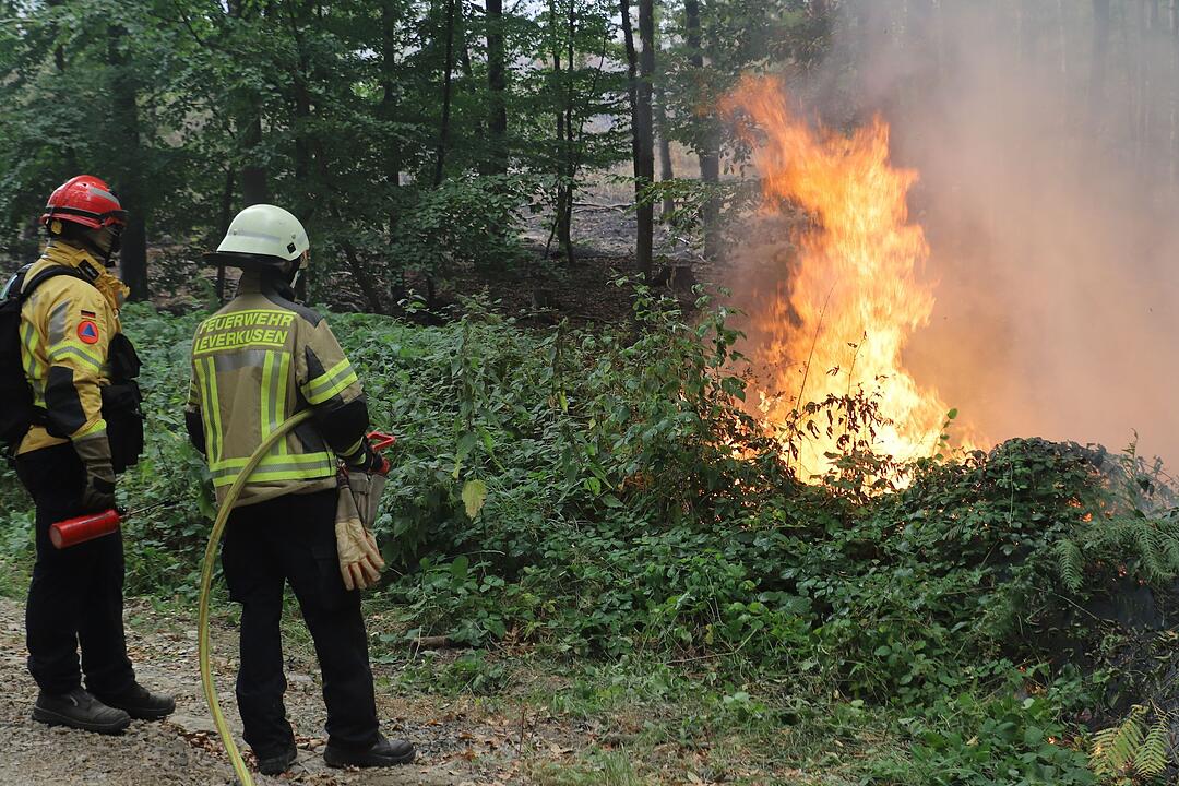 Waldbrand H&uuml;rtgenwald