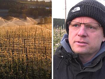 Rohr: Obst-Bauer erlebt böse Überraschung - "das ist nicht normal" Rohr: Obst-Bauer erlebt böse Überraschung - "das ist nicht normal"