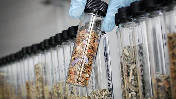 Legal Highs waren die Ursache für den Absturz des 36-Jährigen vom Dach eines Hauses in Reiterswiesen. Foto: Fredrik von Erichsen/dpa