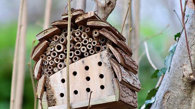 Naturschutz im Garten kann durch verschiedenste Gestaltung umgesetzt werden. Ein Insektenhotel ist nur eine M&ouml;glichkeit.