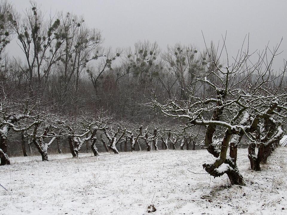 Fotos Konrad Thomann