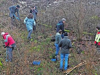 Unter der fachm&auml;nnischen Leitung von Florian Beierwaltes (re) bringen die Unterst&uuml;tzer, Sponsoren und Freiwillige die B&auml;ume in die Erde.