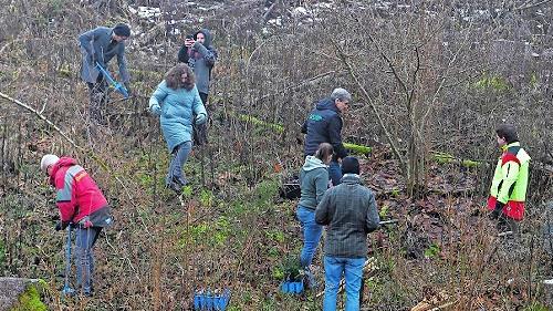 Unter der fachm&auml;nnischen Leitung von Florian Beierwaltes (re) bringen die Unterst&uuml;tzer, Sponsoren und Freiwillige die B&auml;ume in die Erde.