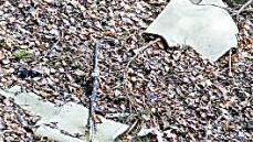 Foto: Marco Meißner