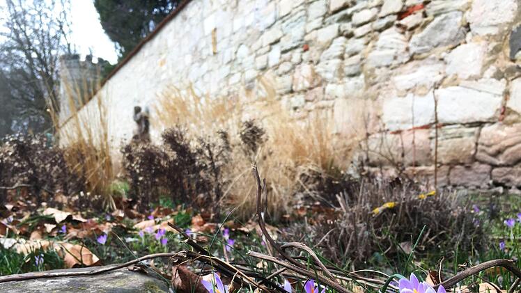 Bl&uuml;hende Fr&uuml;hlingsboten im Kleinen RosengartenFoto: Jochen Berger