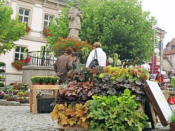 In einen Blumenmarkt verwandelt das Spätsommerfest des Obst- und Gartenbauvereins den Marktplatz Eltmann am Sonntag. Foto: Sabine Weinbeer