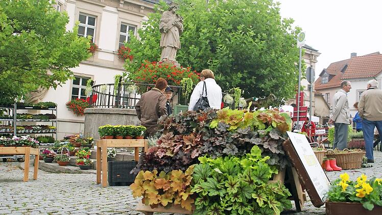 In einen Blumenmarkt verwandelt das Spätsommerfest des Obst- und Gartenbauvereins den Marktplatz Eltmann am Sonntag. Foto: Sabine Weinbeer