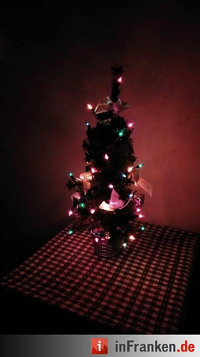 Weihnachten in Franken: Die Christbäume unserer Leser