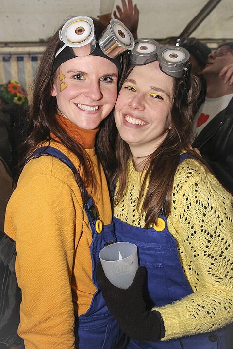 Fasching 2025 in Stadtsteinach!