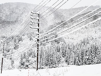 Snow Covered Power Lines in a Winter Forest Von Bossa Art