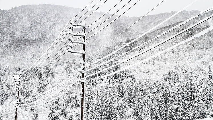 Snow Covered Power Lines in a Winter Forest Von Bossa Art
