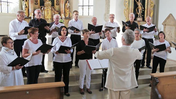 Der Kirchenchor St. Alexis aus Benhausen gestaltete den Gottesdienst der "Aktion Somerkirche." Foto: Galster