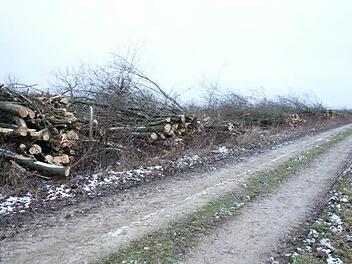 Die Reste der Hecke lagern am Wegesrand. Foto: Bund Naturschutz
