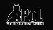 "Ein albanischer Pitbull ohne Leine ist nicht zu bremsen. Er beißt sich durch, bis er hat was er will", erklärt Selmon Malushaj seinen Künstlernamen.