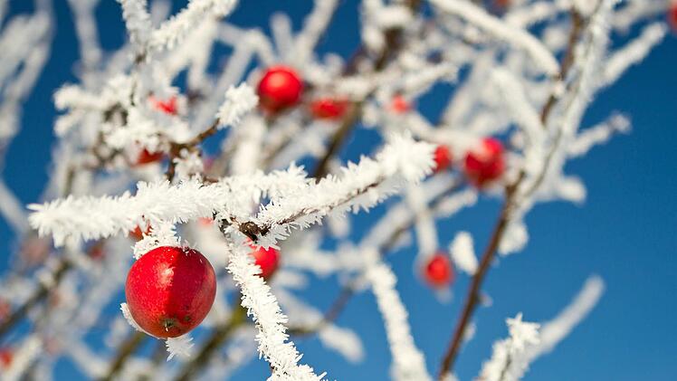Winter in Morschreuth. Foto: Tom Kern