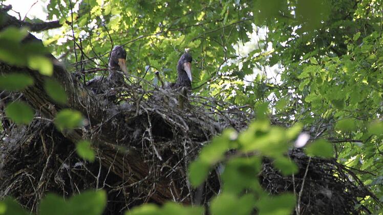 Ihnen passt überhaupt nicht, dass sie gestört werden.