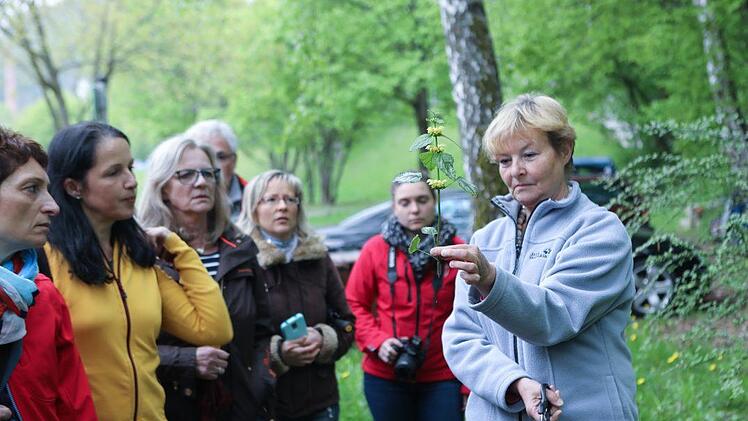 Kräuterseminar: Impressionen einer Entdeckungsreise Foto: Barbara Herbst