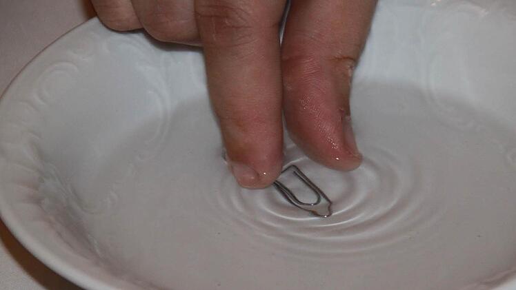 Schwimmt eine Büroklammer auf der Wasseroberfläche? Im "Haus der kleinen Forscher" dürfen die Kinder das selbst ausprobieren.