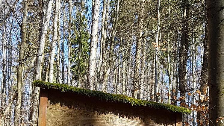 Die alten Tafel des Naturlehrpfades sind in die Jahre gekommen und stark verwittert. Foto: Marion Eckert