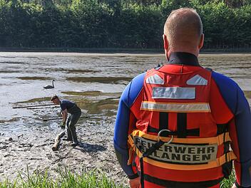 Einsatzkräfte auf den Arm genommen: Schwan im Morast sorgt für langen Rettungseinsatz und schwimmt dann selbst davon