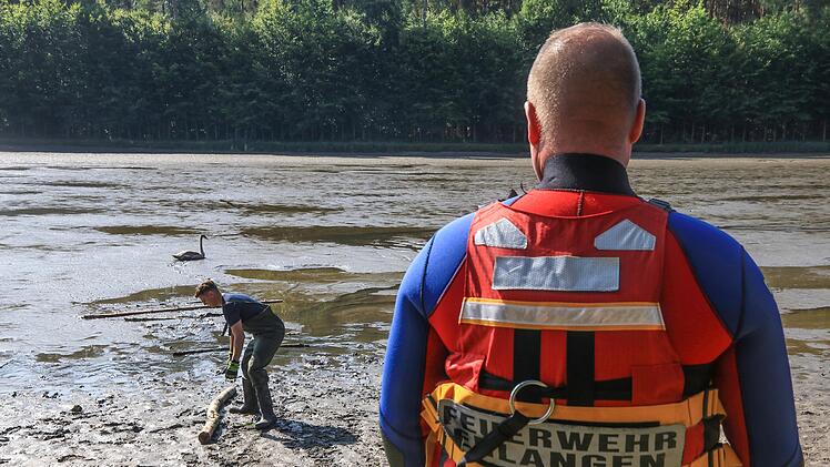 Einsatzkräfte auf den Arm genommen: Schwan im Morast sorgt für langen Rettungseinsatz und schwimmt dann selbst davon