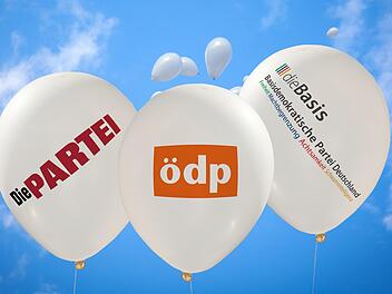 Die Partei, die ÖDP und Die Basis - diese drei der kleinen Parteien treten in unserem Wahlkreis mit Direktkandidaten an.