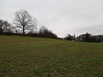 20 Bauplätze entstehen im Baugebiet "Binzig".  Foto: Franz Galster