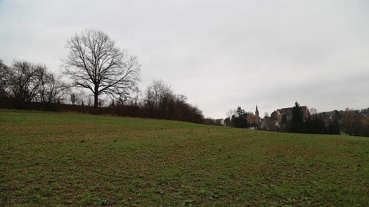 20 Bauplätze entstehen im Baugebiet "Binzig".  Foto: Franz Galster