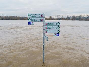 Hochwasser am Rhein