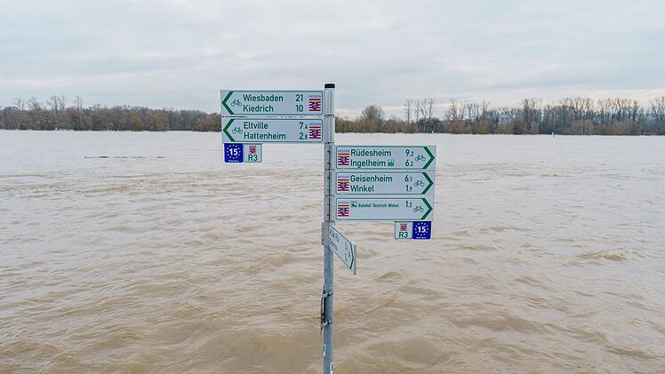 Hochwasser am Rhein