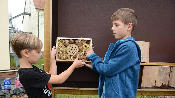 Fynn Stolarz (links) und Jonas Gack bringen das erste fertige Zimmer im neuen Insektenhotel an.