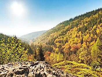 Der Frankenwald soll weiterentwickelt werden. Neue Einrichtungen in verschiedenen Bereichen, wie Natur oder Bildung, sollen die Region für die Zukunft fit machen. Die Bayerischen Staatsforsten wollen dazu einen beachtlichen Beitrag leisten. Foto: ToMaPics/inFrankenPIX