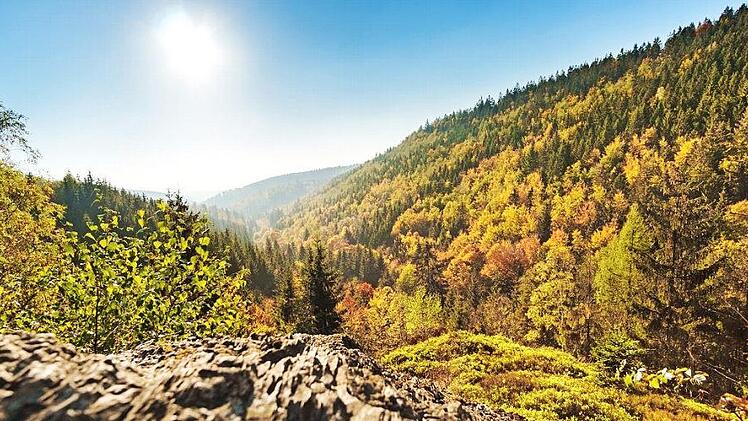 Der Frankenwald soll weiterentwickelt werden. Neue Einrichtungen in verschiedenen Bereichen, wie Natur oder Bildung, sollen die Region für die Zukunft fit machen. Die Bayerischen Staatsforsten wollen dazu einen beachtlichen Beitrag leisten. Foto: ToMaPics/inFrankenPIX