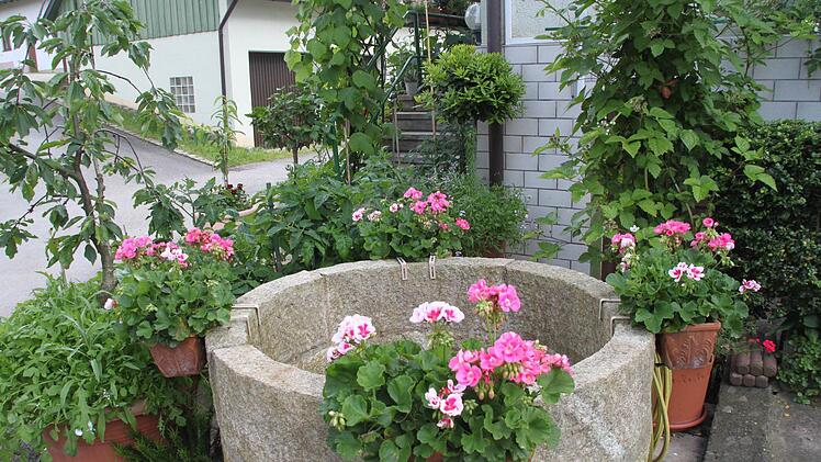 Bilder aus teilnehmenden Gärten Foto: Jürgen Gärtner