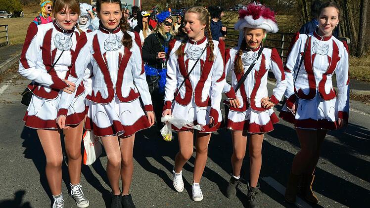 Faschingsumzug des Premicher Vereinsrings. Foto: Peter Rauch