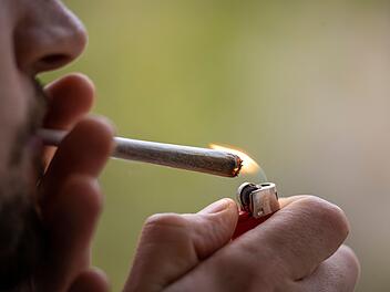 Cannabis