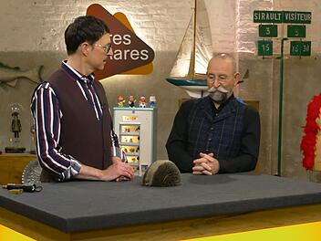 "Sollen wir es mal füttern?", fragte "Bares für Rares"-Experte Colmar Schulte-Goltz den Moderator Horst Lichter. Denn dieses borstige Objekt sah doch sehr aus wie ein Tierchen. "Darf ich mal anfassen?", fragte Lichter neugierig.
