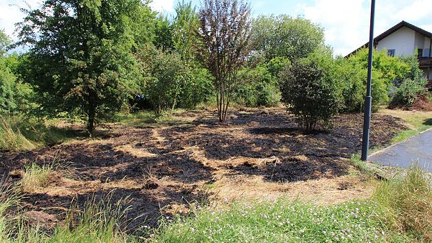 Am Dienstag mussten die Feuerwehren Höchstadt und Gremsdorf in die Schwalbenstraße in Höchstadt-Süd ausrücken. Dort war das ausgetrocknete Gras auf einer Wiese in Brand geraten. Nach Auskunft der Feuerwehr steht noch nicht fest, was zu dem Feuer geführt hat. Foto: Christian Bauriedel