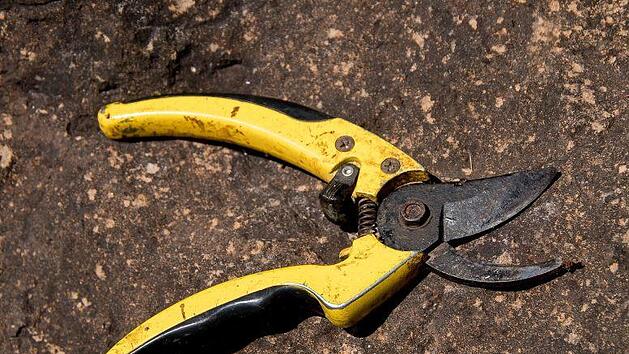 Sie trennte den Penis des Mannes mit einer Gartenschere ab. Symbolfoto: sandid/pixabay.com