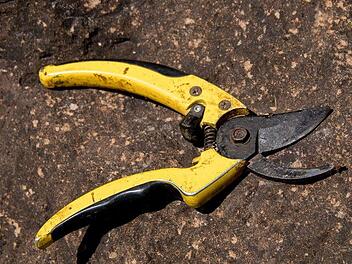 Sie trennte den Penis des Mannes mit einer Gartenschere ab. Symbolfoto: sandid/pixabay.com