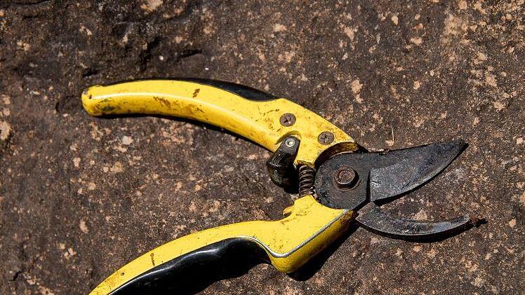 Sie trennte den Penis des Mannes mit einer Gartenschere ab. Symbolfoto: sandid/pixabay.com