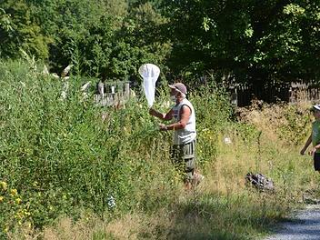Schmetterlingsexperte Manfred Steinel im Insektenlehrpfad Foto: Elisabeth Assmann