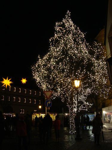 Sp&auml;therbst Teil 2