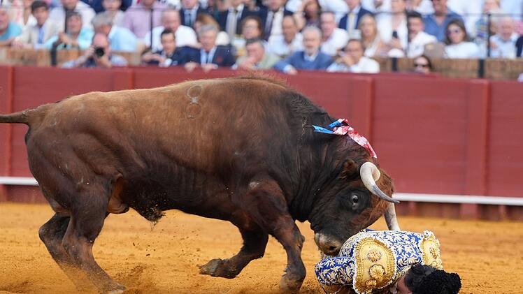 Stierkampf in der Maestranza in Sevilla