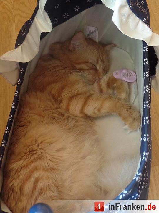 Foto: Anette Weymann